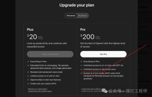 ChatGPT Pro会员新模型o1-pro每月200美元，你会支付购买吗？Team用户曝光了GPT-4.5模型！